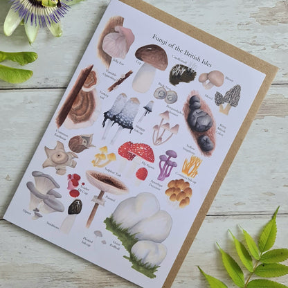 Fungi of the British Isles - Greetings Card