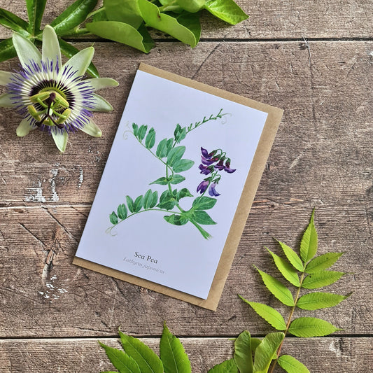 Sea Pea - Greetings Card