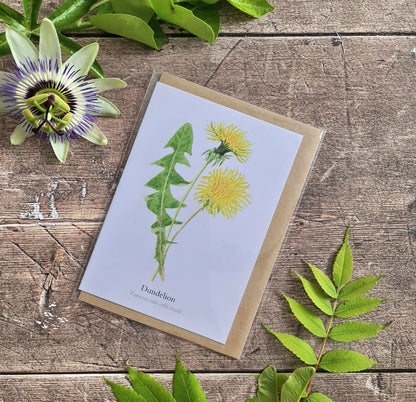 Dandelion - Greetings Card