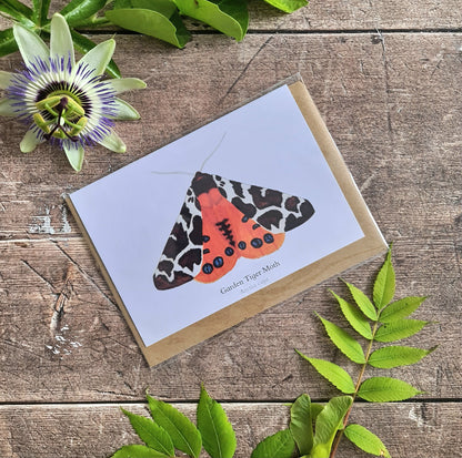 Garden Tiger Moth - Greetings Card