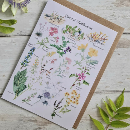 Coastal Wildflowers - Greetings Card