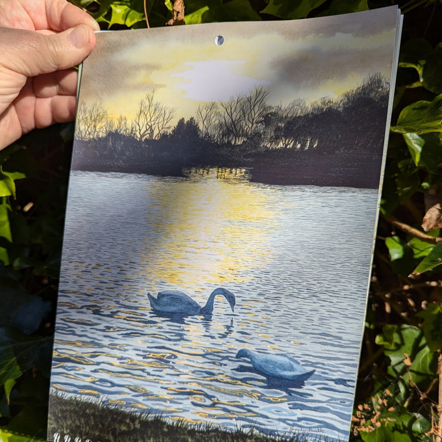 2025 Calendar - Reflections - At the Cherry Tree