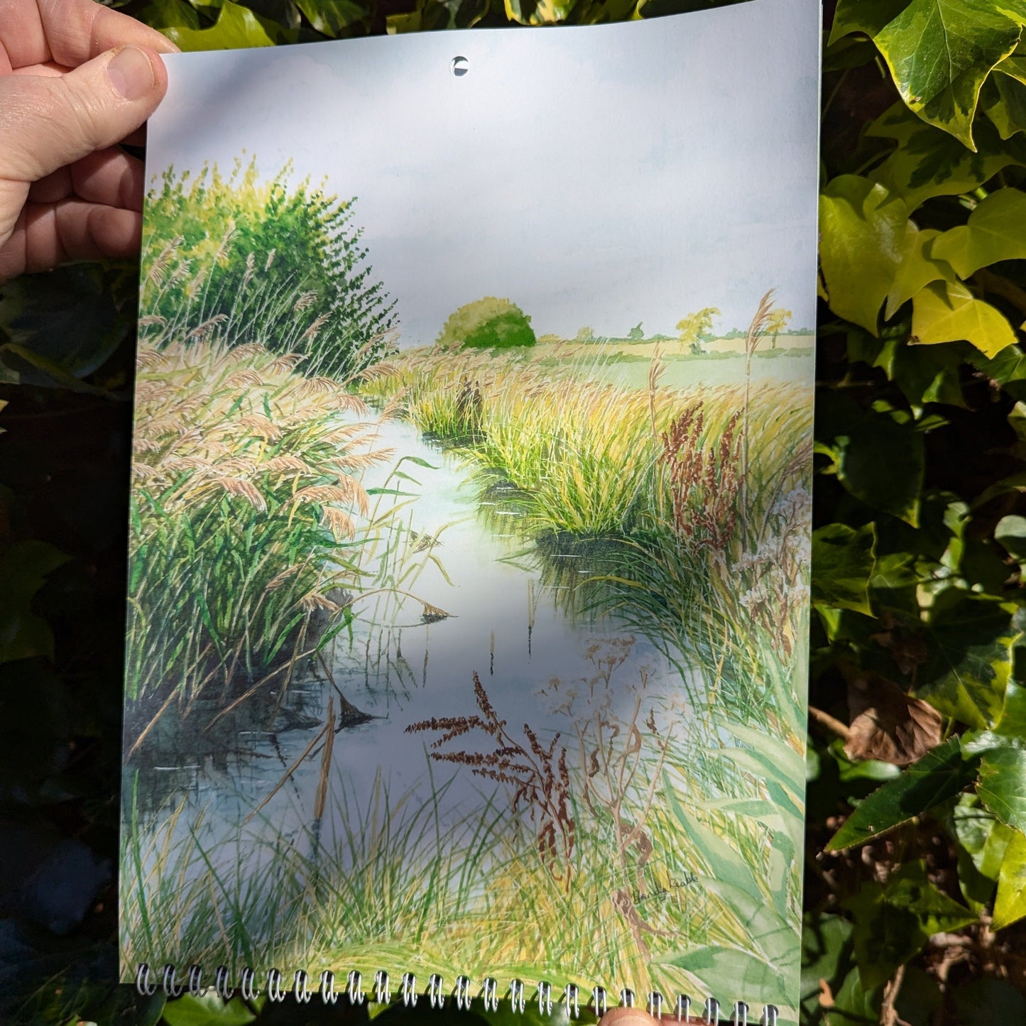 2025 Calendar - Reflections - At the Cherry Tree