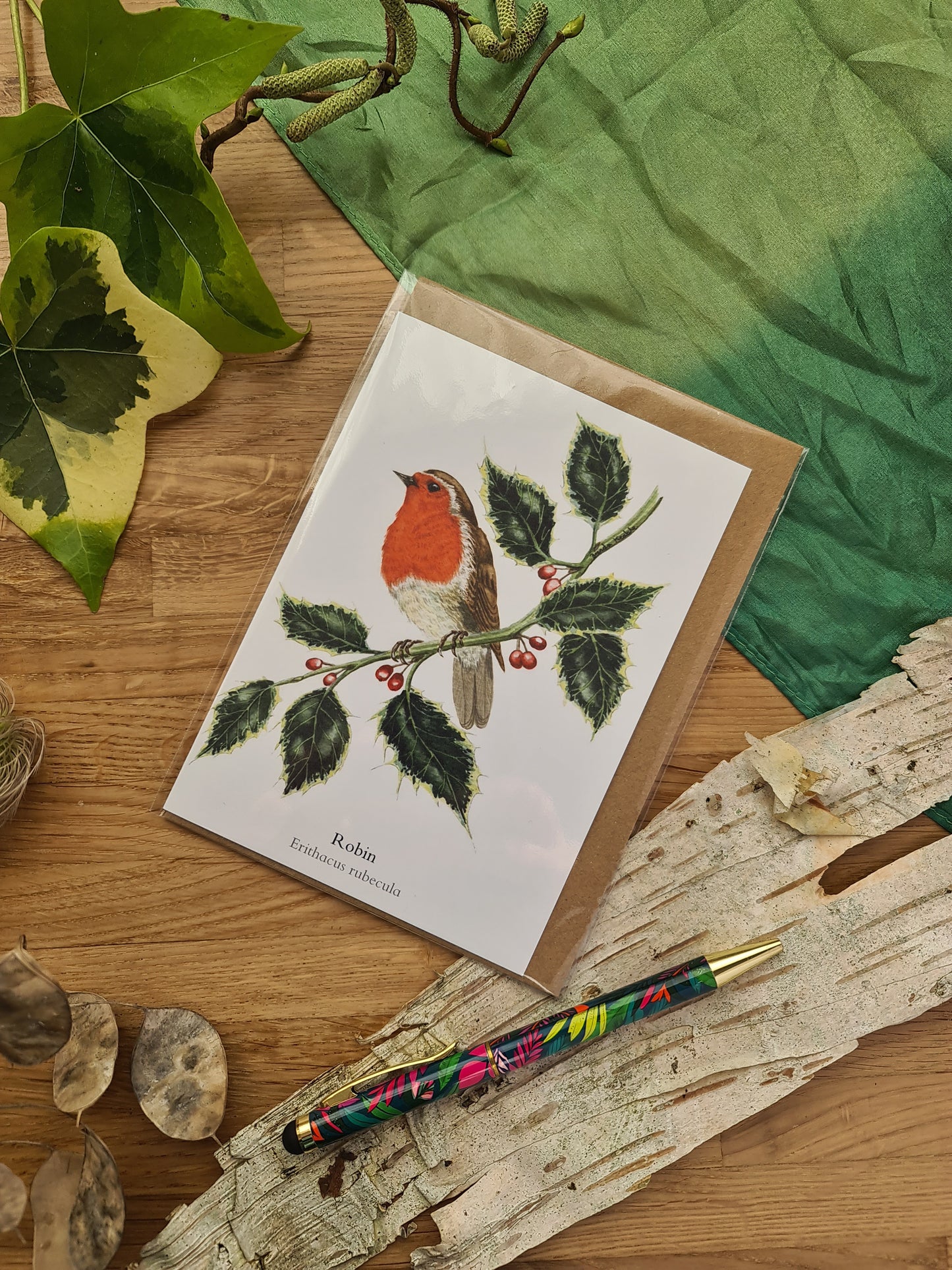 Robin - Greetings Card