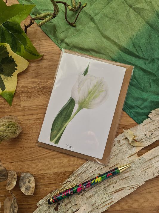 White Tulip - Greetings Card