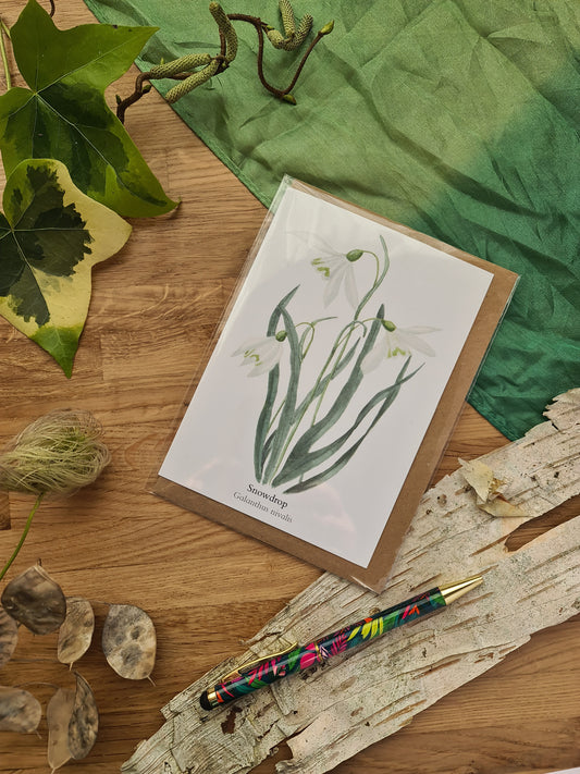 Snowdrop - Greetings Card