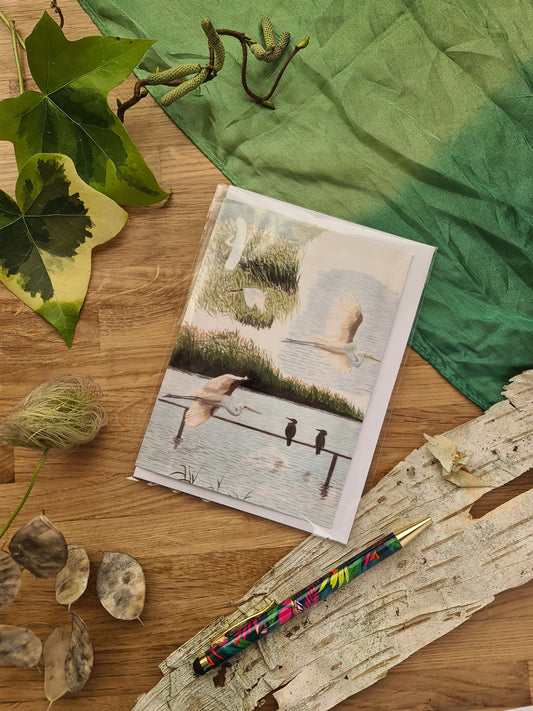 Egret Sketches - Greetings Card