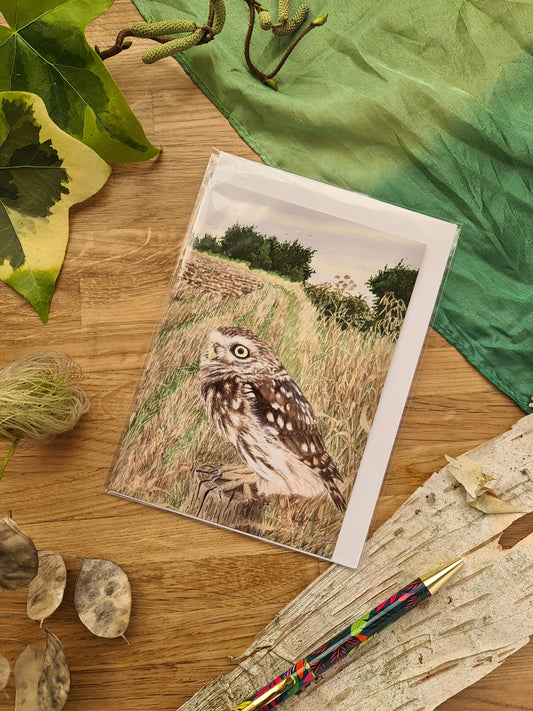 Alert for Prey - Greetings Card