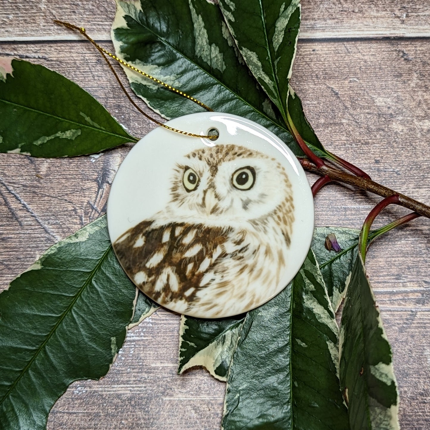 Little Owl Decoration