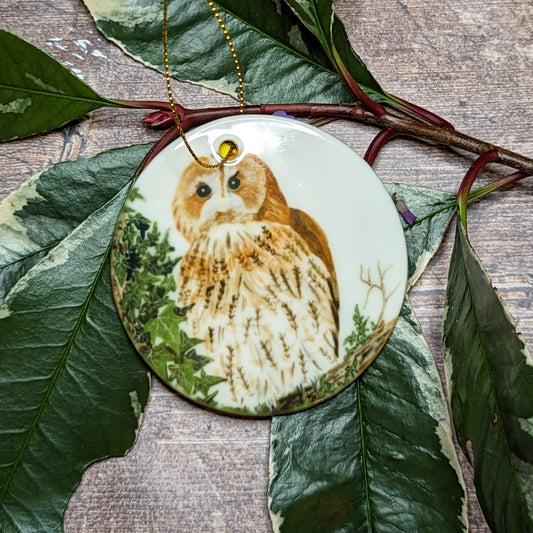 Tawny Owl Decoration