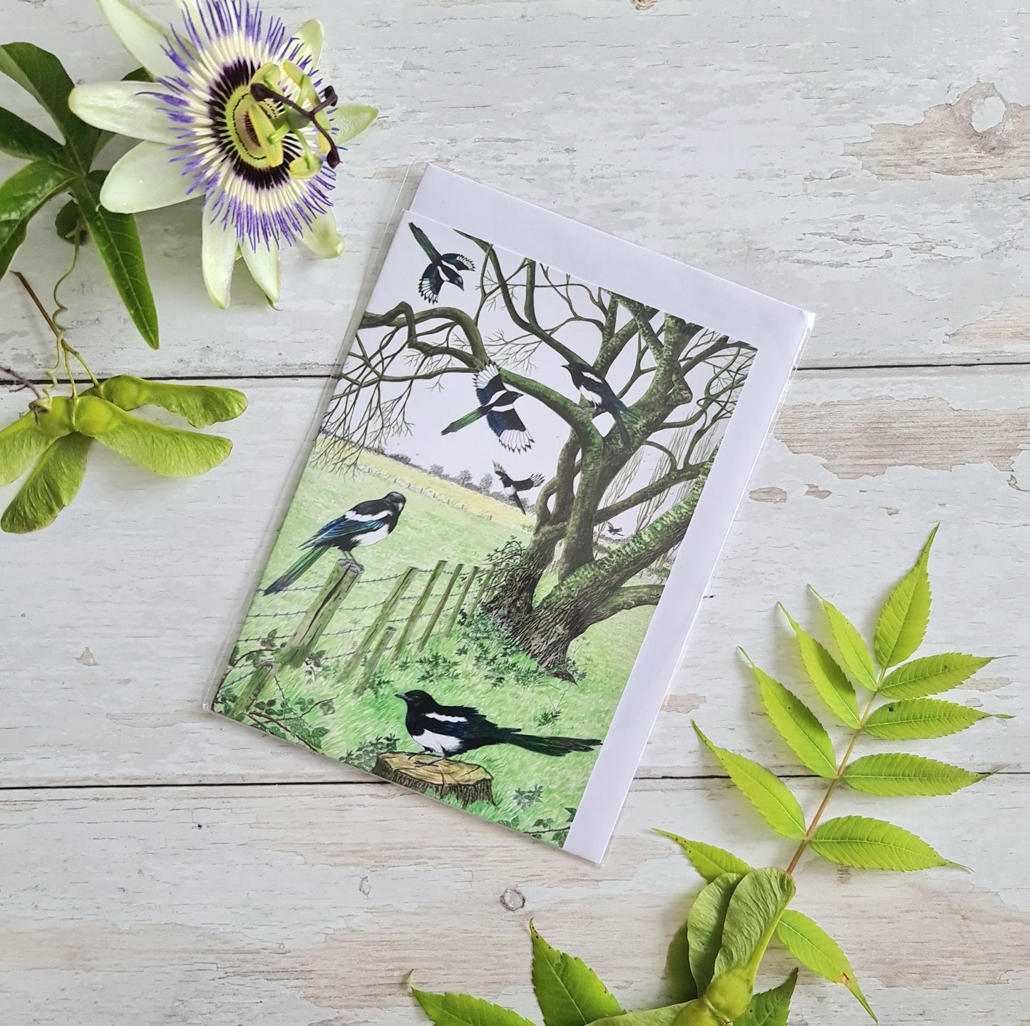 A Tiding of Magpies - Greetings Card - At the Cherry Tree