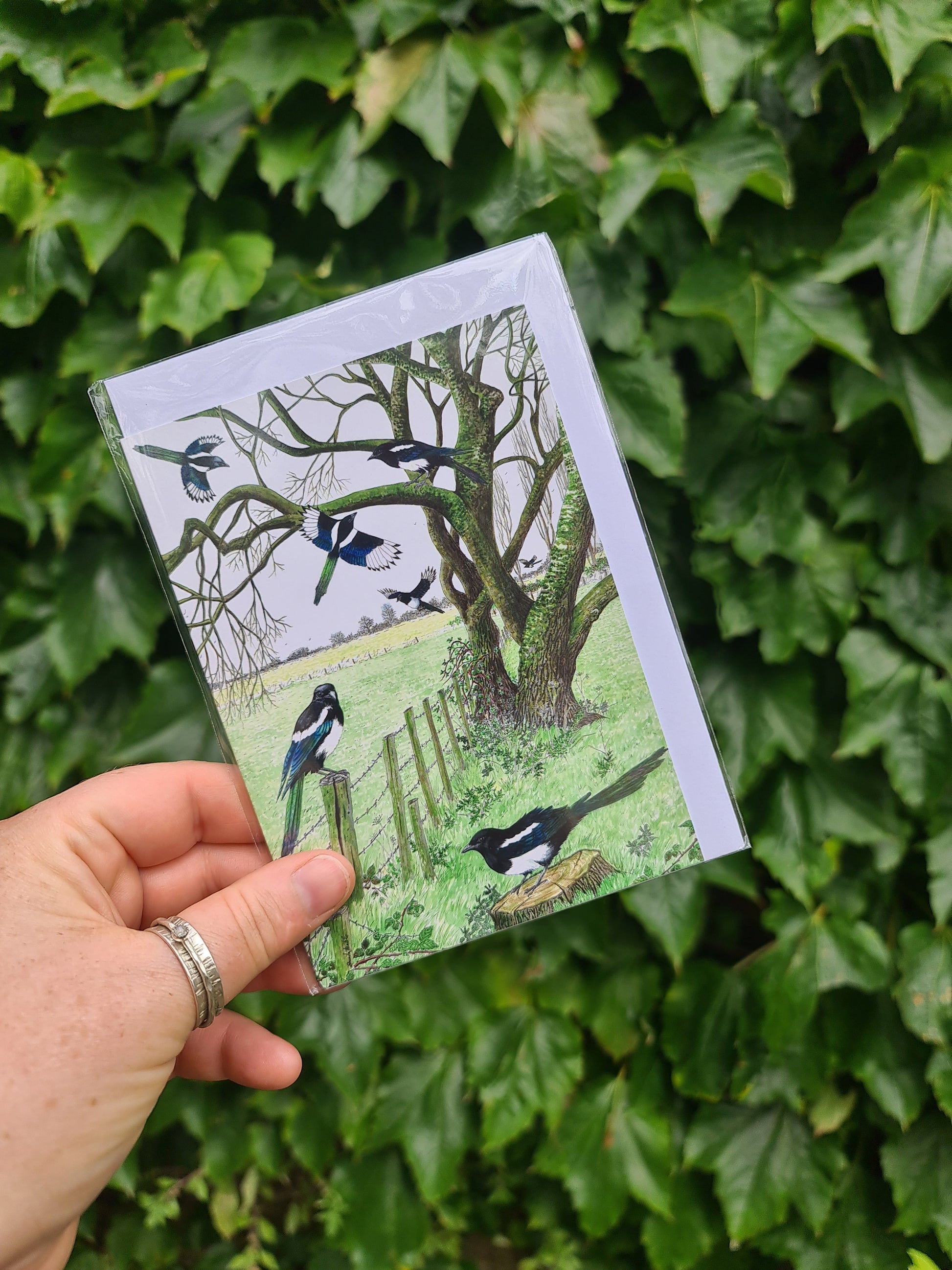 A Tiding of Magpies - Greetings Card - At the Cherry Tree