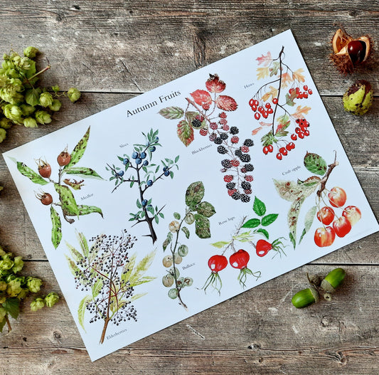 A3 Autumn fruits - Poster Print - At the Cherry Tree