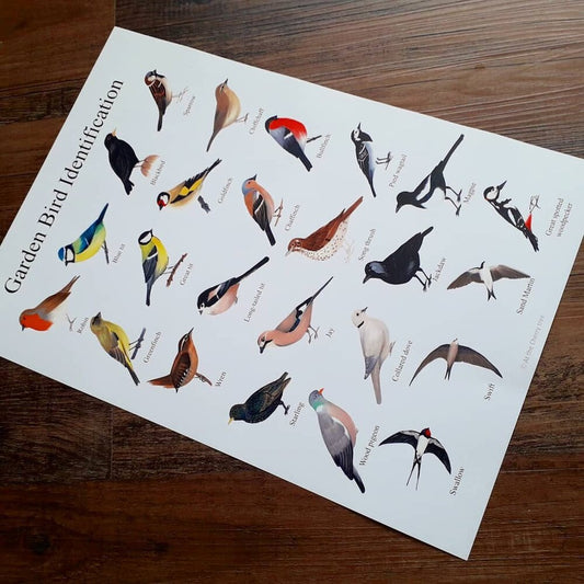 A3 Garden Bird - Poster - At the Cherry Tree
