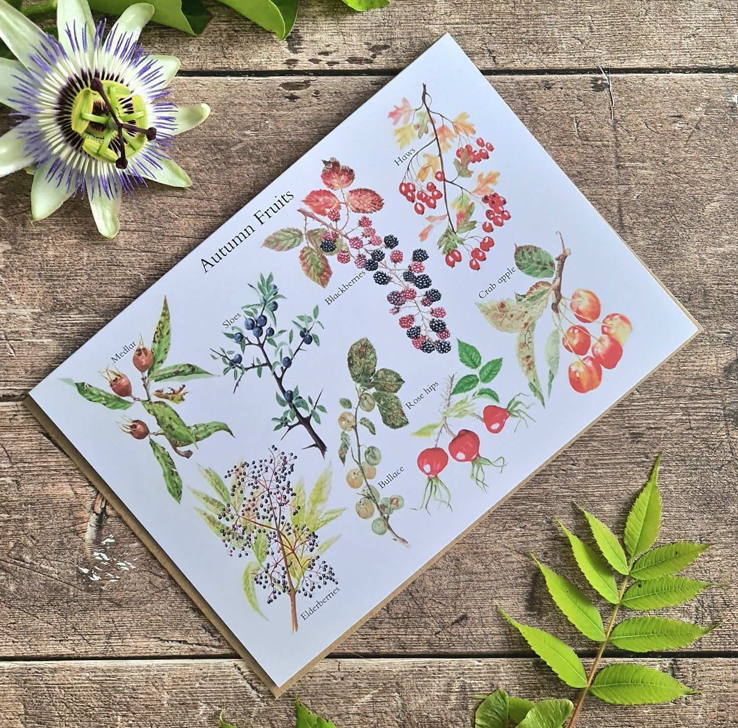 Autumn Fruit ID - Greetings Card - At the Cherry Tree