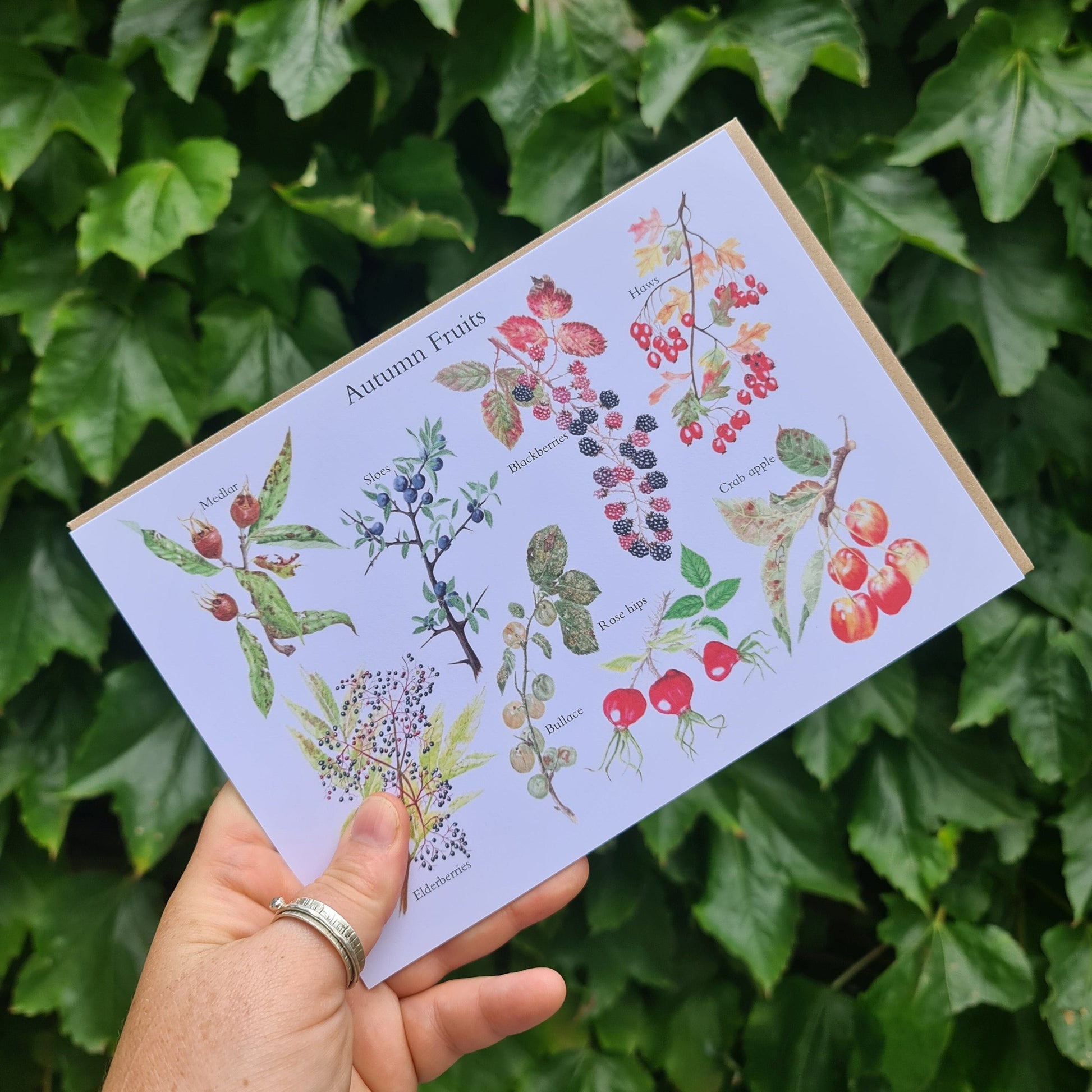 Autumn Fruit ID - Greetings Card - At the Cherry Tree