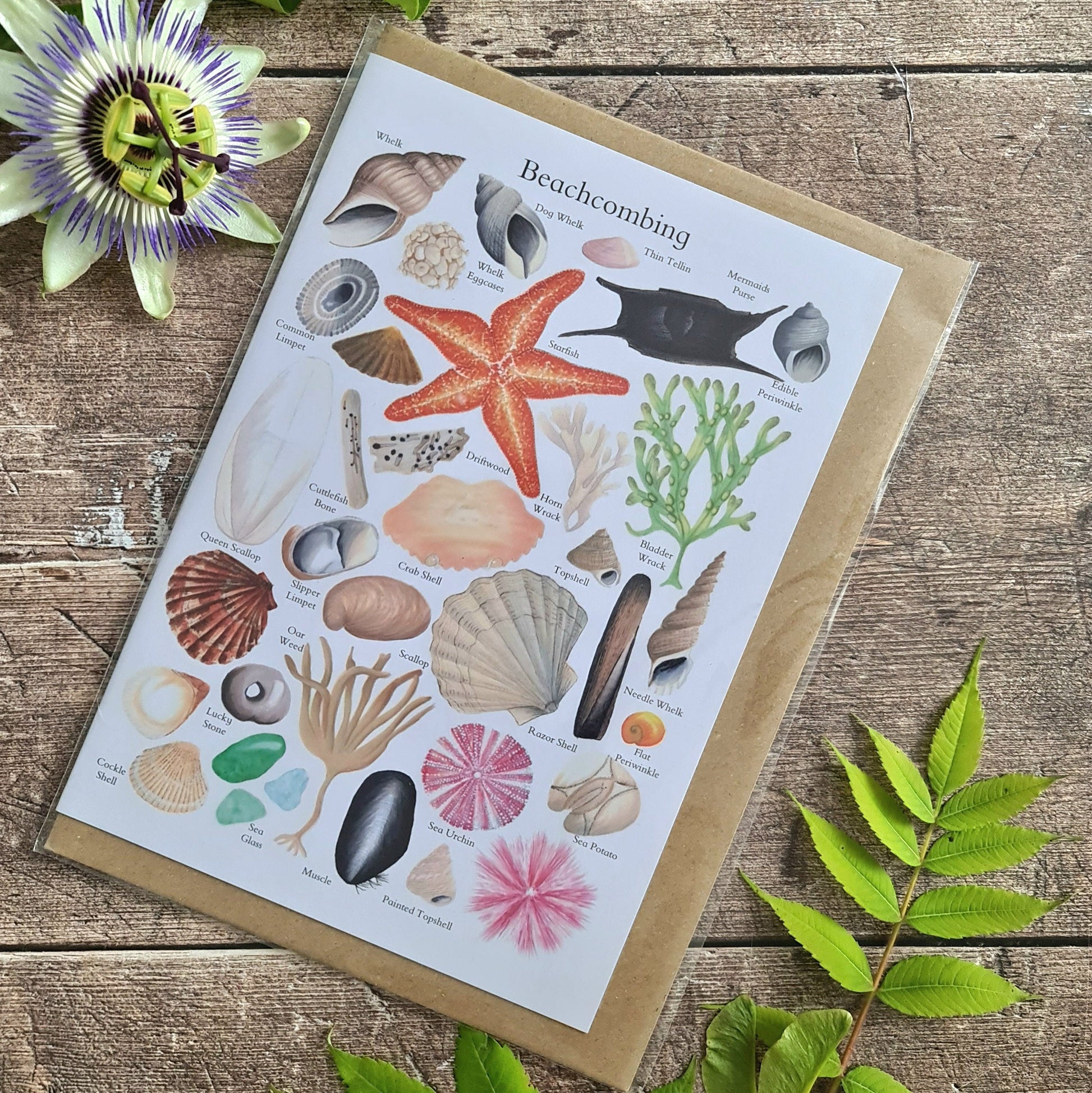 Beachcombing Finds - Greetings Card - At the Cherry Tree