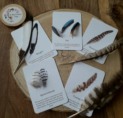 Bird Feathers - Pocket Set - At the Cherry Tree