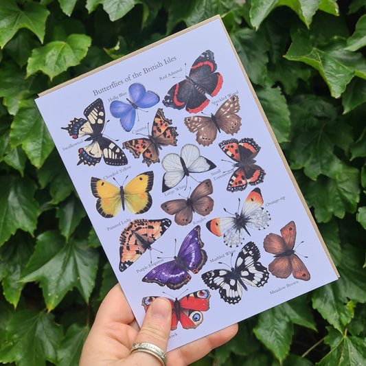 Butterflies of the British Isles - Greetings Card - At the Cherry Tree