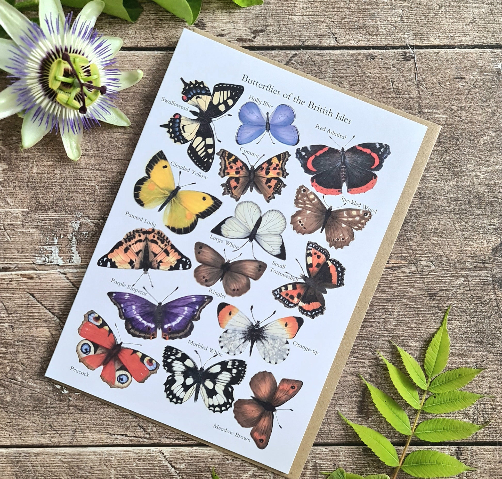 Butterflies of the British Isles - Greetings Card - At the Cherry Tree