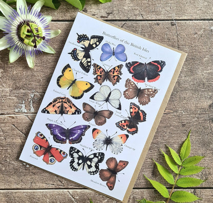 Butterflies of the British Isles - Greetings Card - At the Cherry Tree