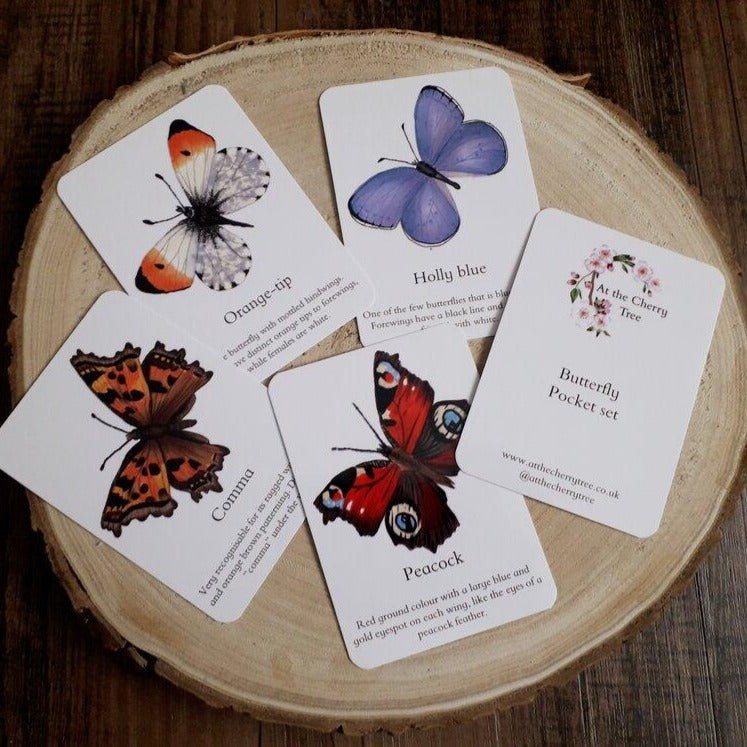 Butterfly Identification - Pocket Set - At the Cherry Tree