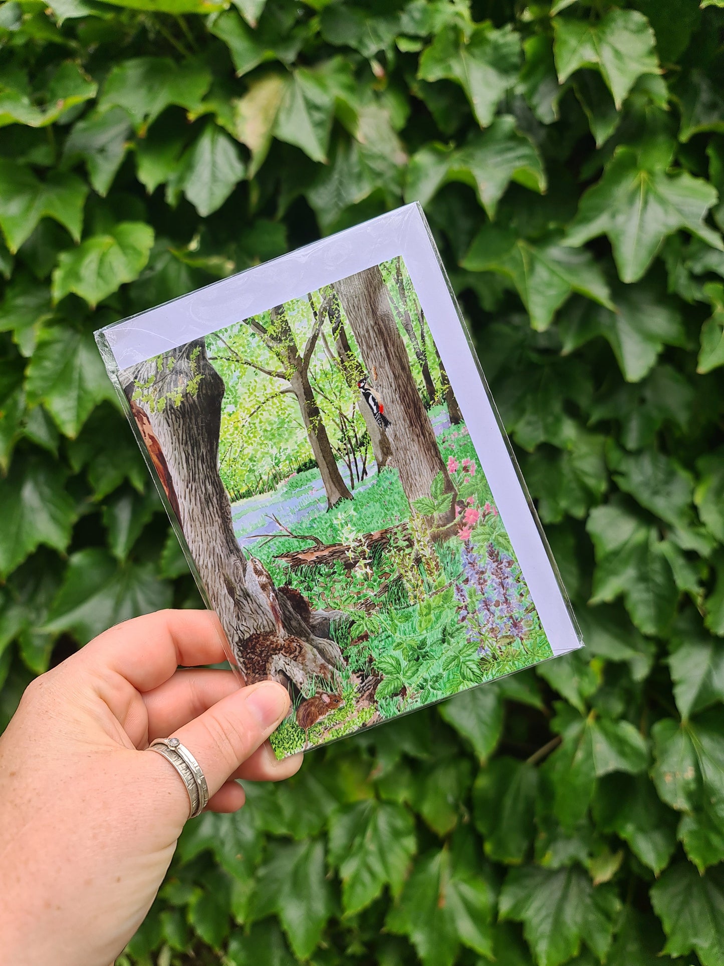 Captain's Wood - Greetings Card - At the Cherry Tree