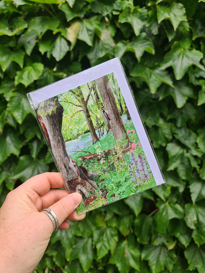 Captain's Wood - Greetings Card - At the Cherry Tree