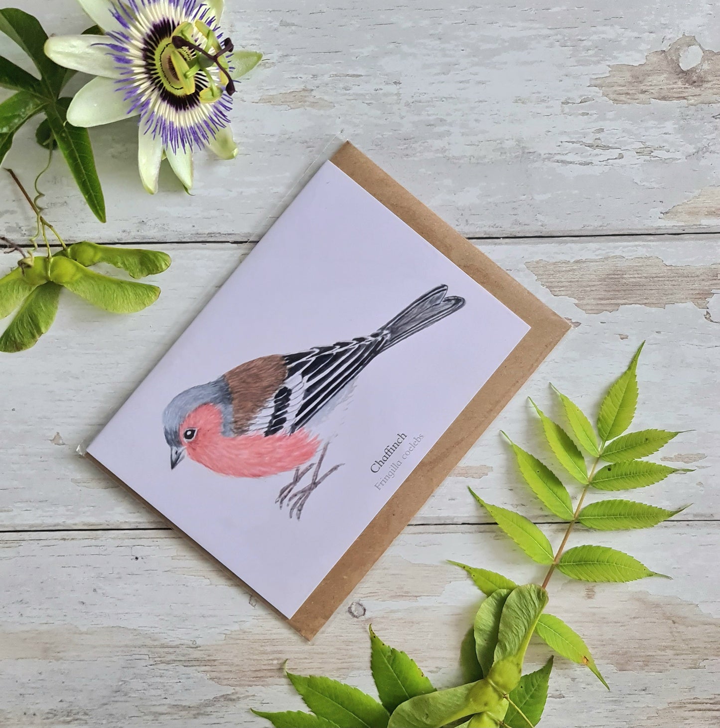 Chaffinch - Greetings Card - At the Cherry Tree