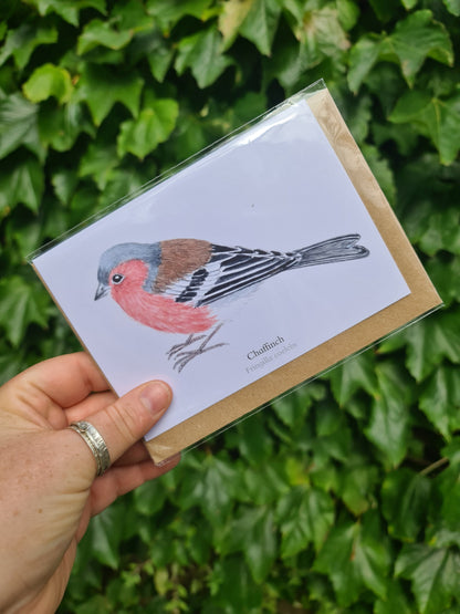 Chaffinch - Greetings Card - At the Cherry Tree
