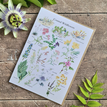 Coastal Wildflowers - Greetings Card - At the Cherry Tree