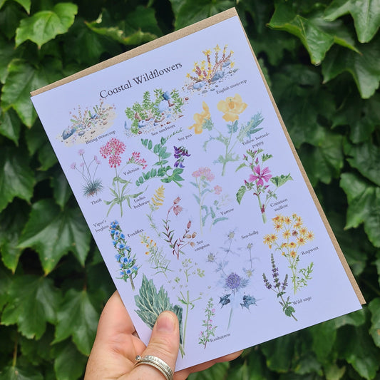 Coastal Wildflowers - Greetings Card - At the Cherry Tree