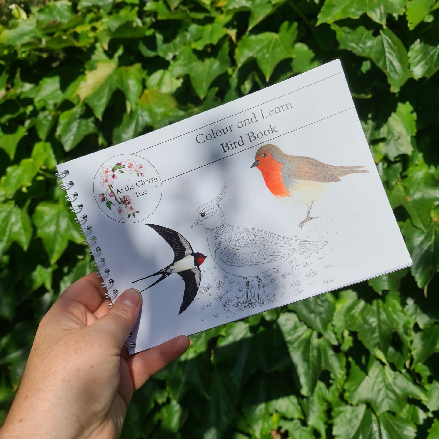 Colour and Learn - Birds - At the Cherry Tree