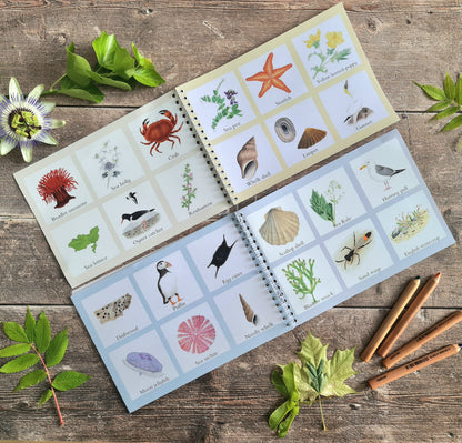 Colour and Learn - Coastal Wildlife - At the Cherry Tree