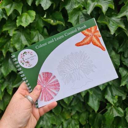 Colour and Learn - Coastal Wildlife - At the Cherry Tree