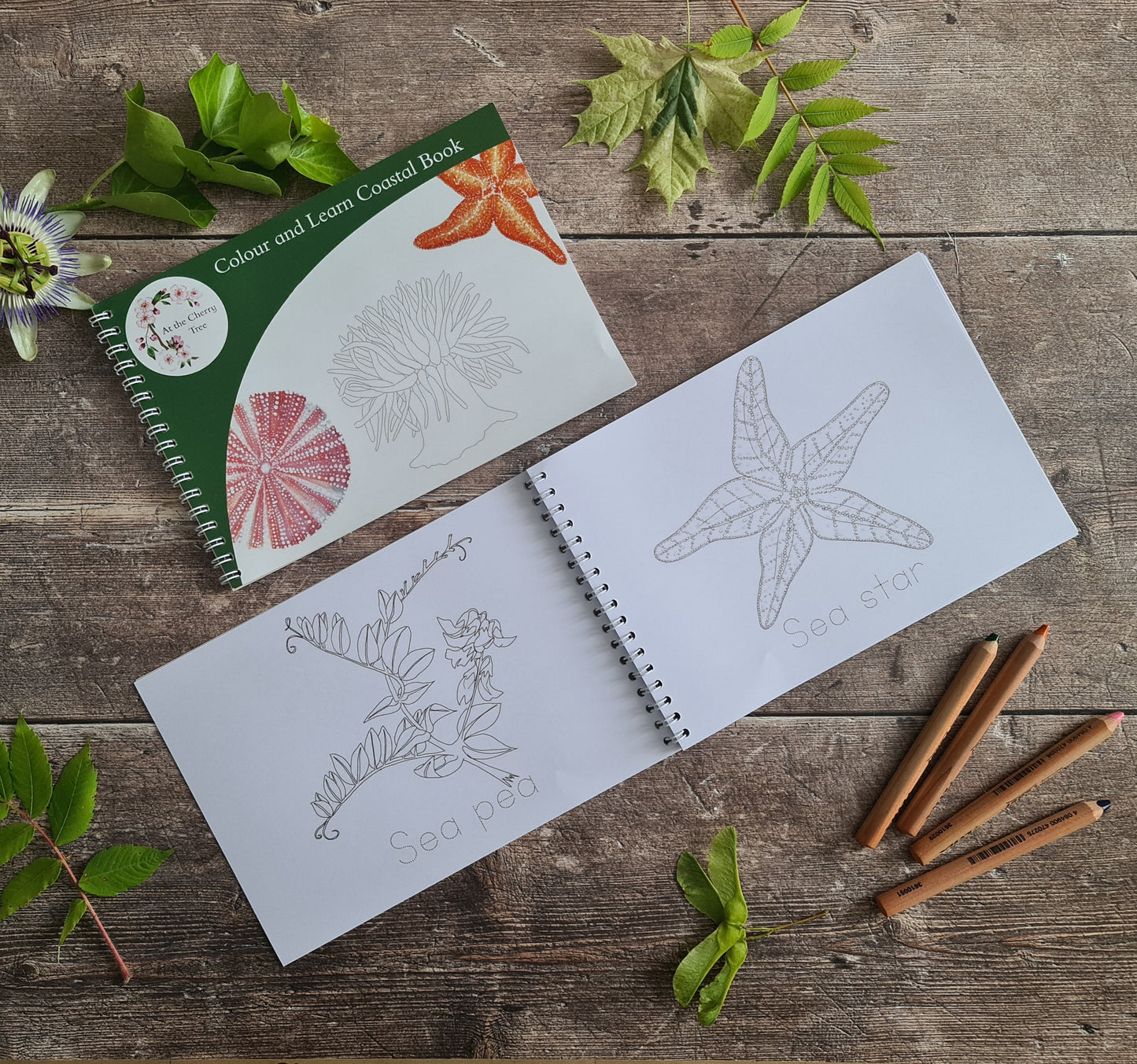 Colour and Learn - Coastal Wildlife - At the Cherry Tree