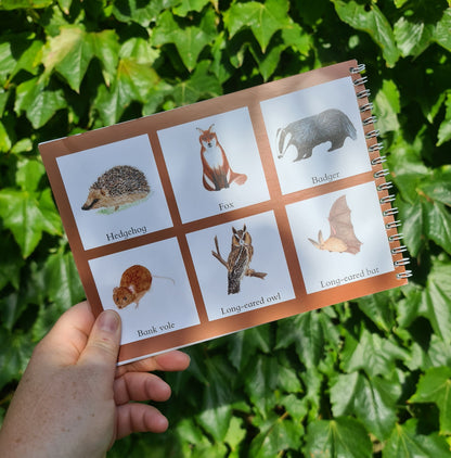 Colour and Learn - Crepuscular and Nocturnal Creatures - At the Cherry Tree