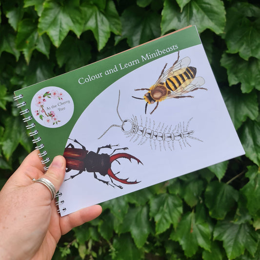 Colour and Learn - Minibeasts - At the Cherry Tree