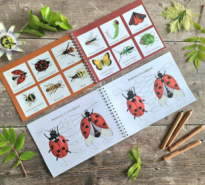 Colour and Learn - Minibeasts - At the Cherry Tree