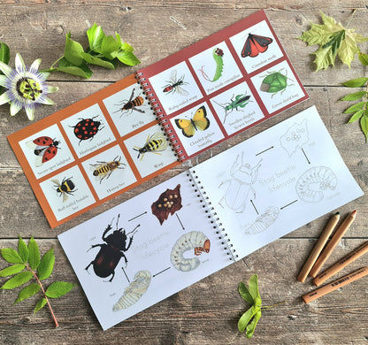 Colour and Learn - Minibeasts - At the Cherry Tree