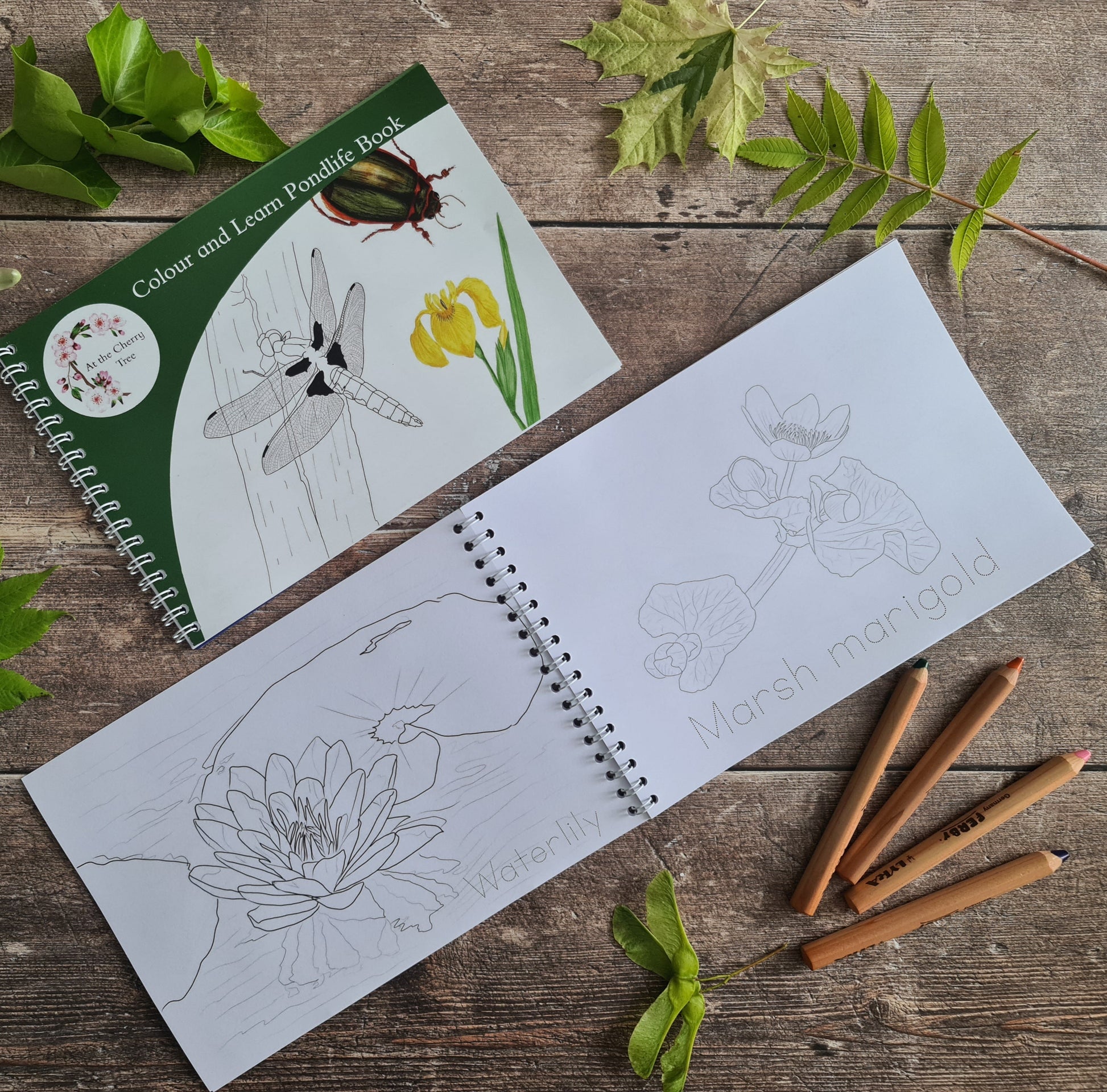 Colour and Learn - Pond Life - At the Cherry Tree