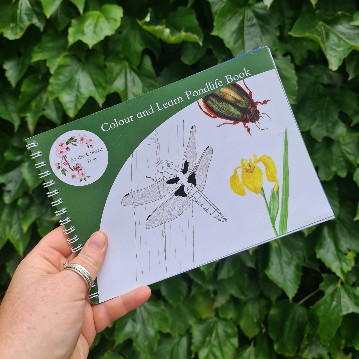 Colour and Learn - Pond Life - At the Cherry Tree