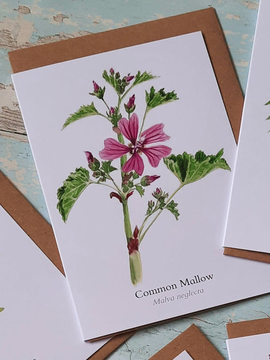 Common Mallow - Greetings Card - At the Cherry Tree