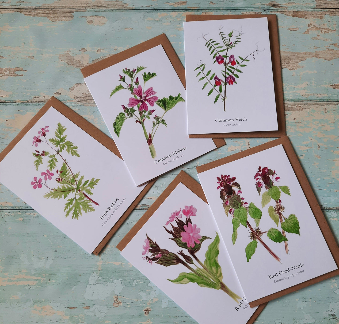 Common Mallow - Greetings Card - At the Cherry Tree