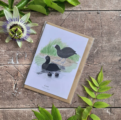 Coot - Greetings Card - At the Cherry Tree