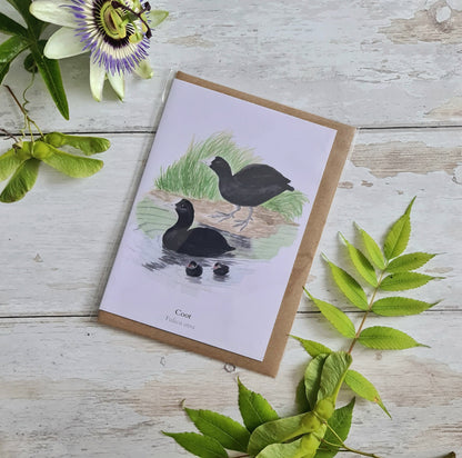 Coot - Greetings Card - At the Cherry Tree