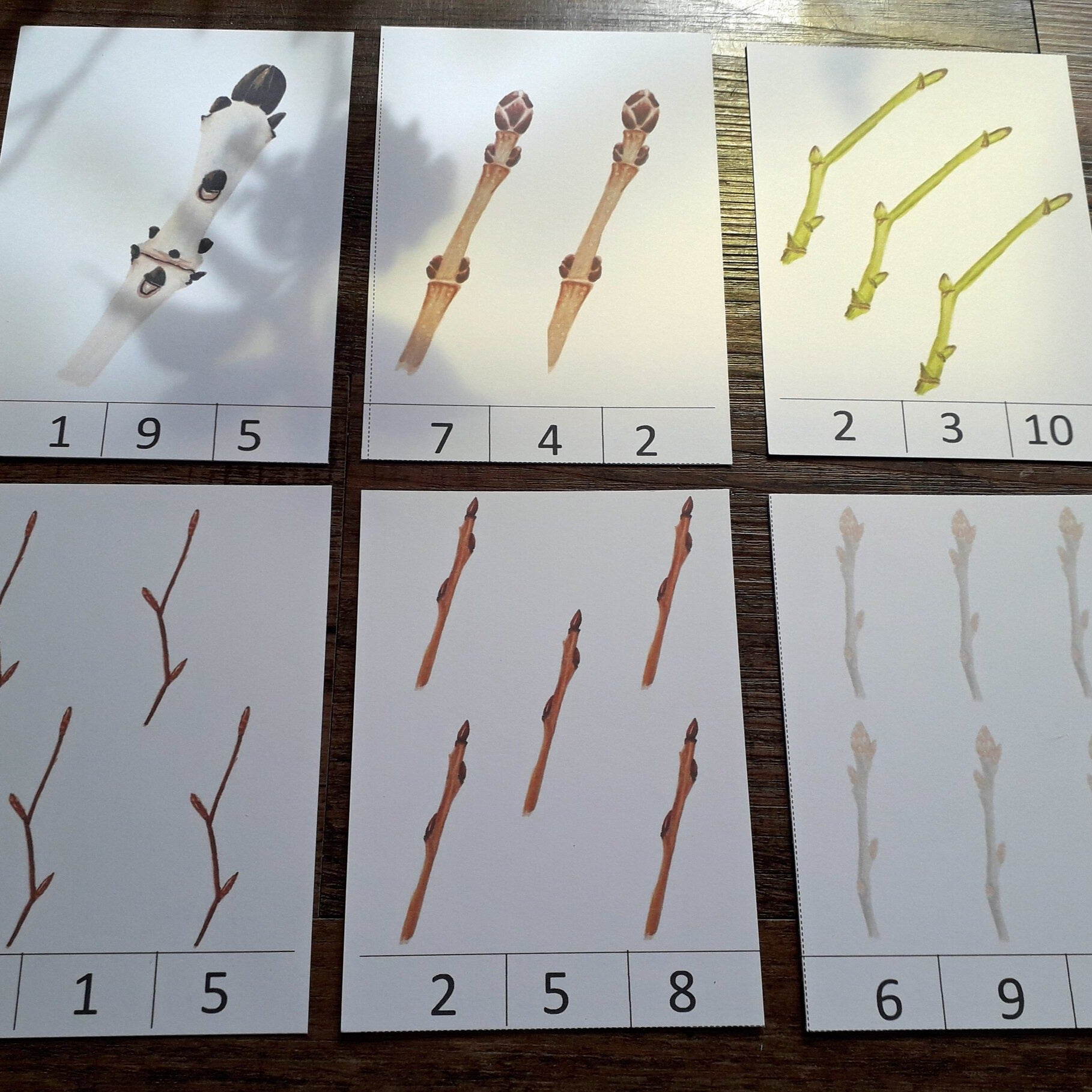 Counting Cards - Winter Twigs PDF - At the Cherry Tree