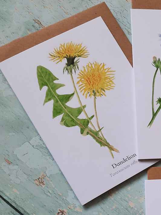 Dandelion - Greetings Card - At the Cherry Tree