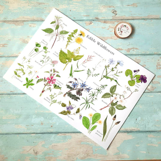 Edible Wildflowers - Poster Print - At the Cherry Tree