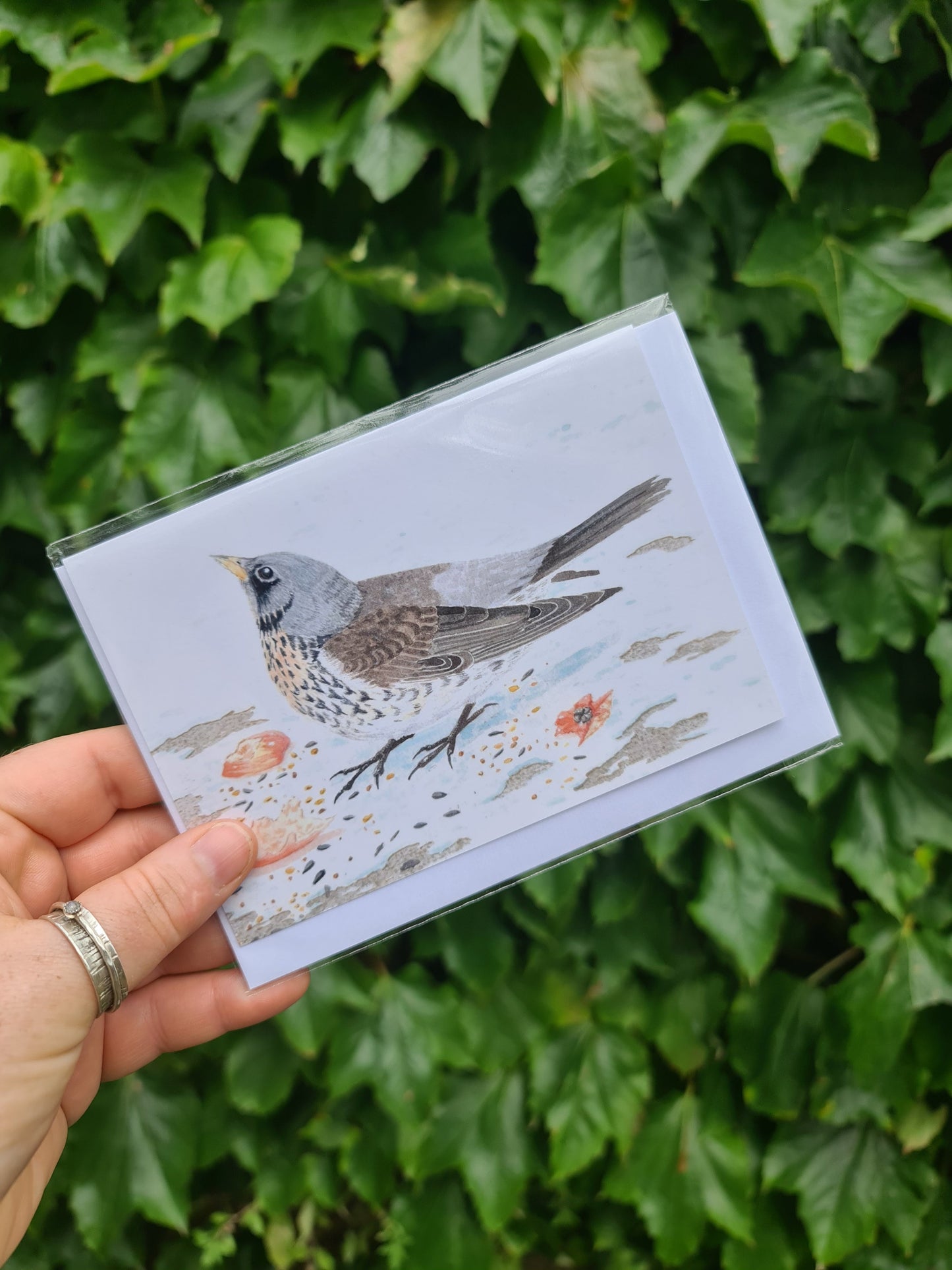 Fieldfare - Greetings Card - At the Cherry Tree